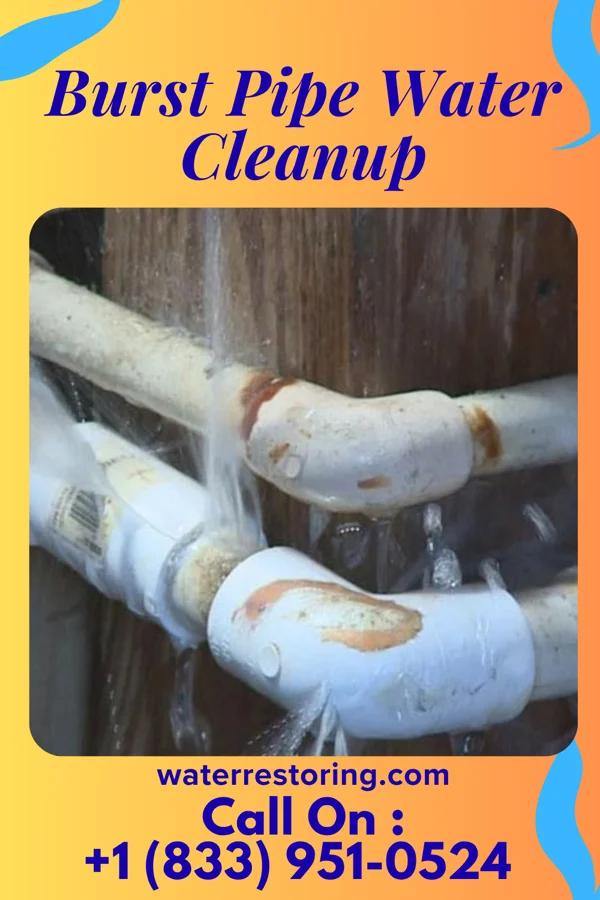 Burst Pipe Water Cleanup in Cedar Bluffs, NE