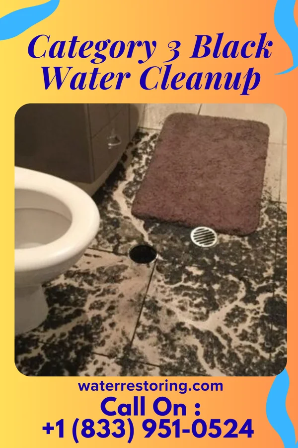 Category 3 Black Water Cleanup in Cedar Bluffs, NE